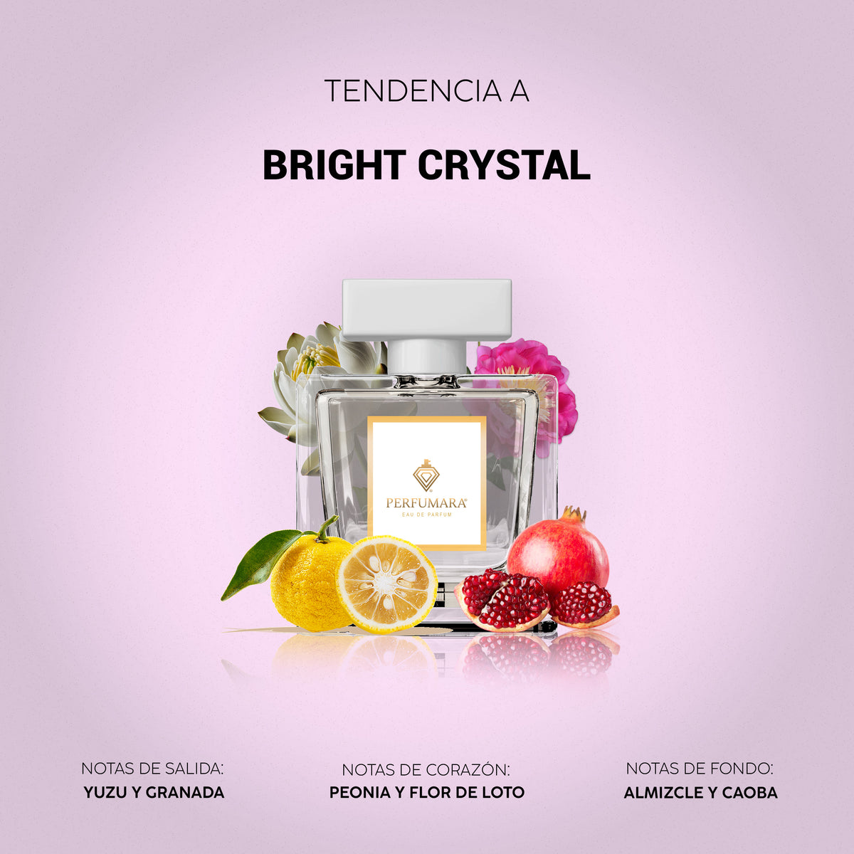 Tendencia a Bright Crystal