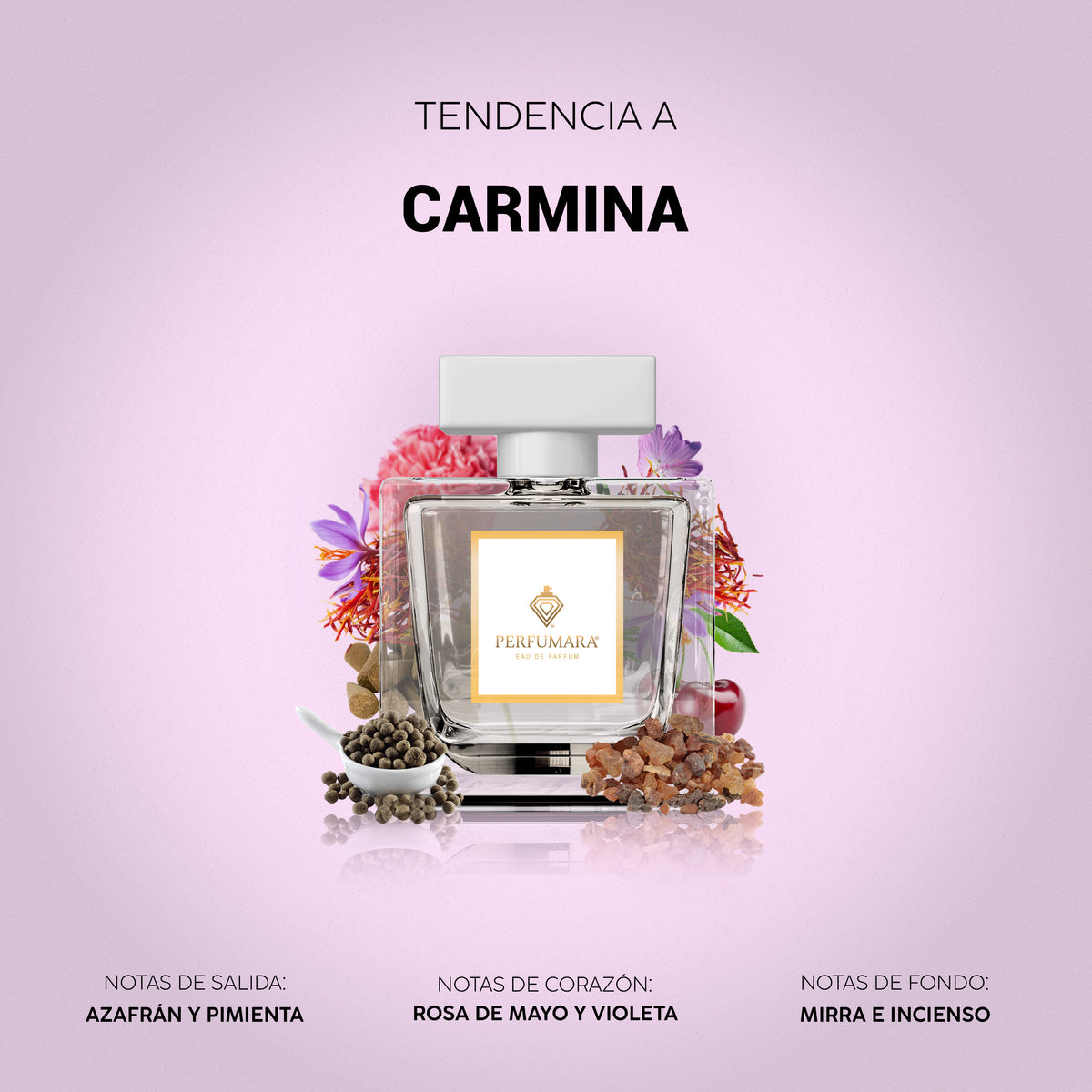 Tendencia a Carmina