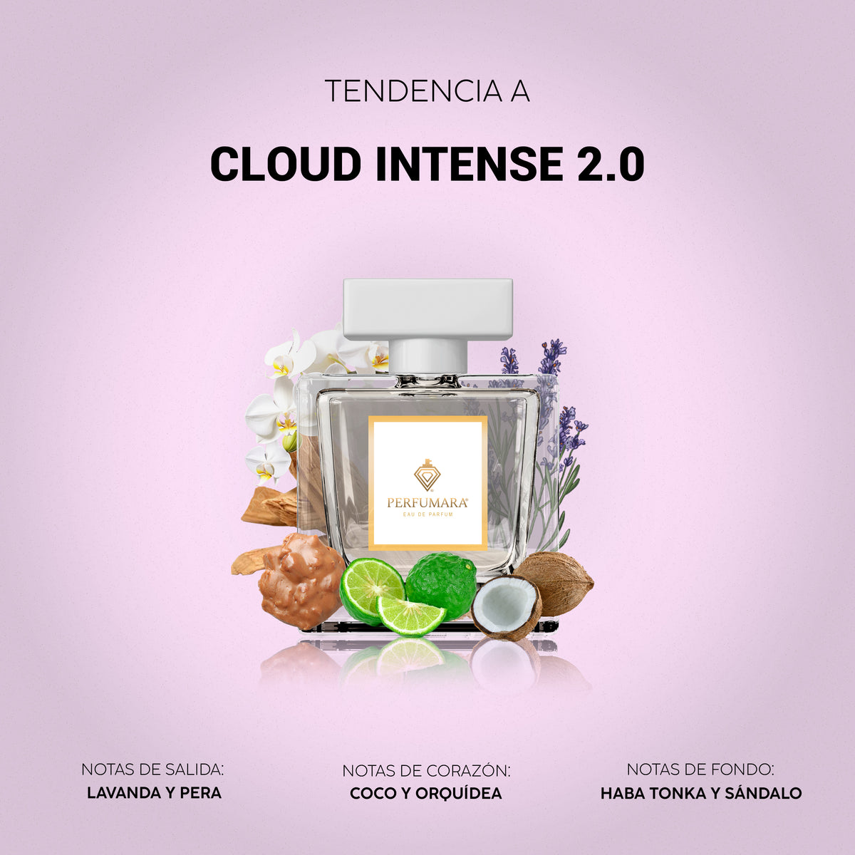 Tendencia a Cloud Intense 2.0