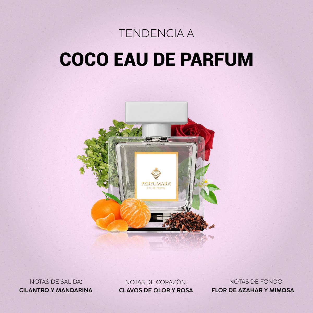 Tendencia a Coco Eau de Parfum