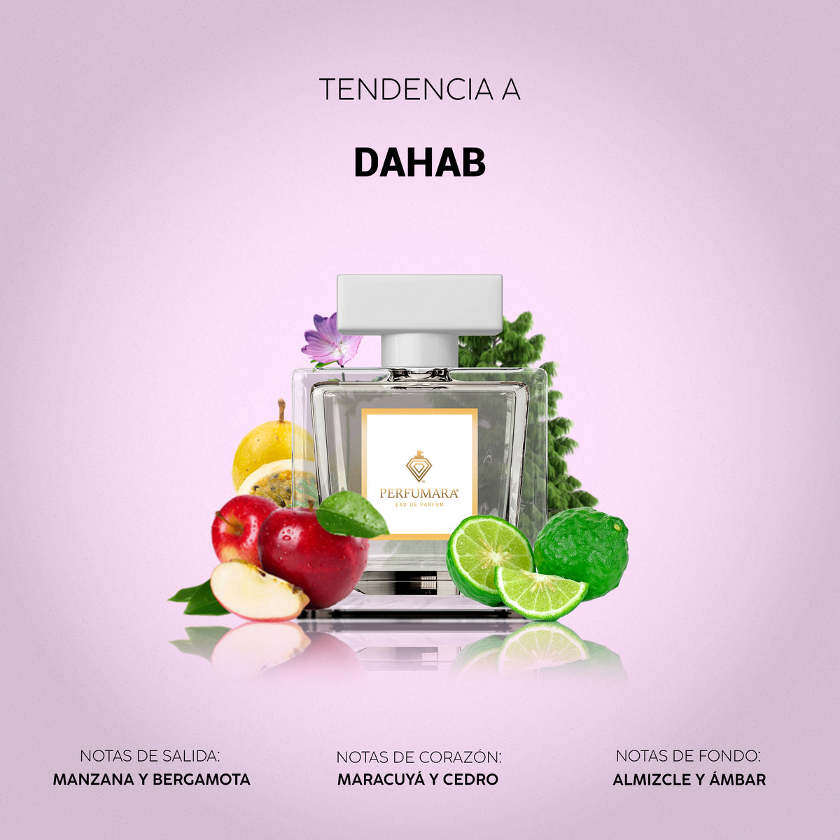 Tendencia a Dahab