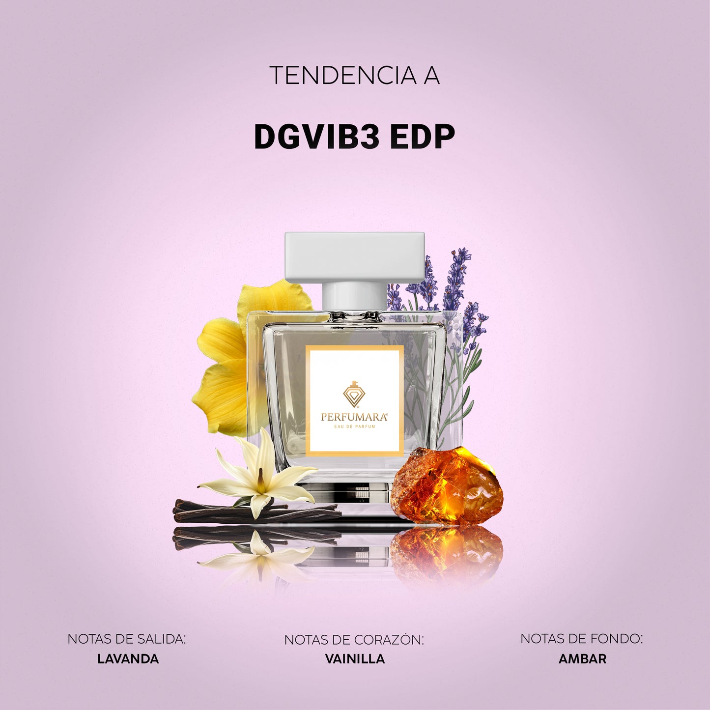 Tendencia a UDGVIB3