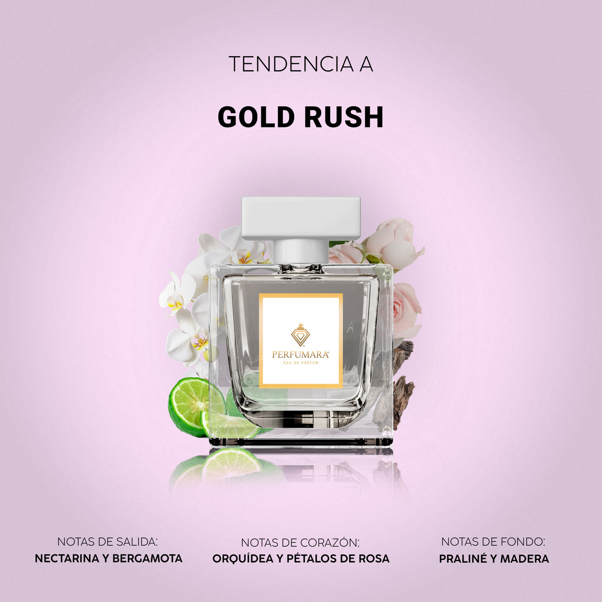 Tendencia a Gold Rush