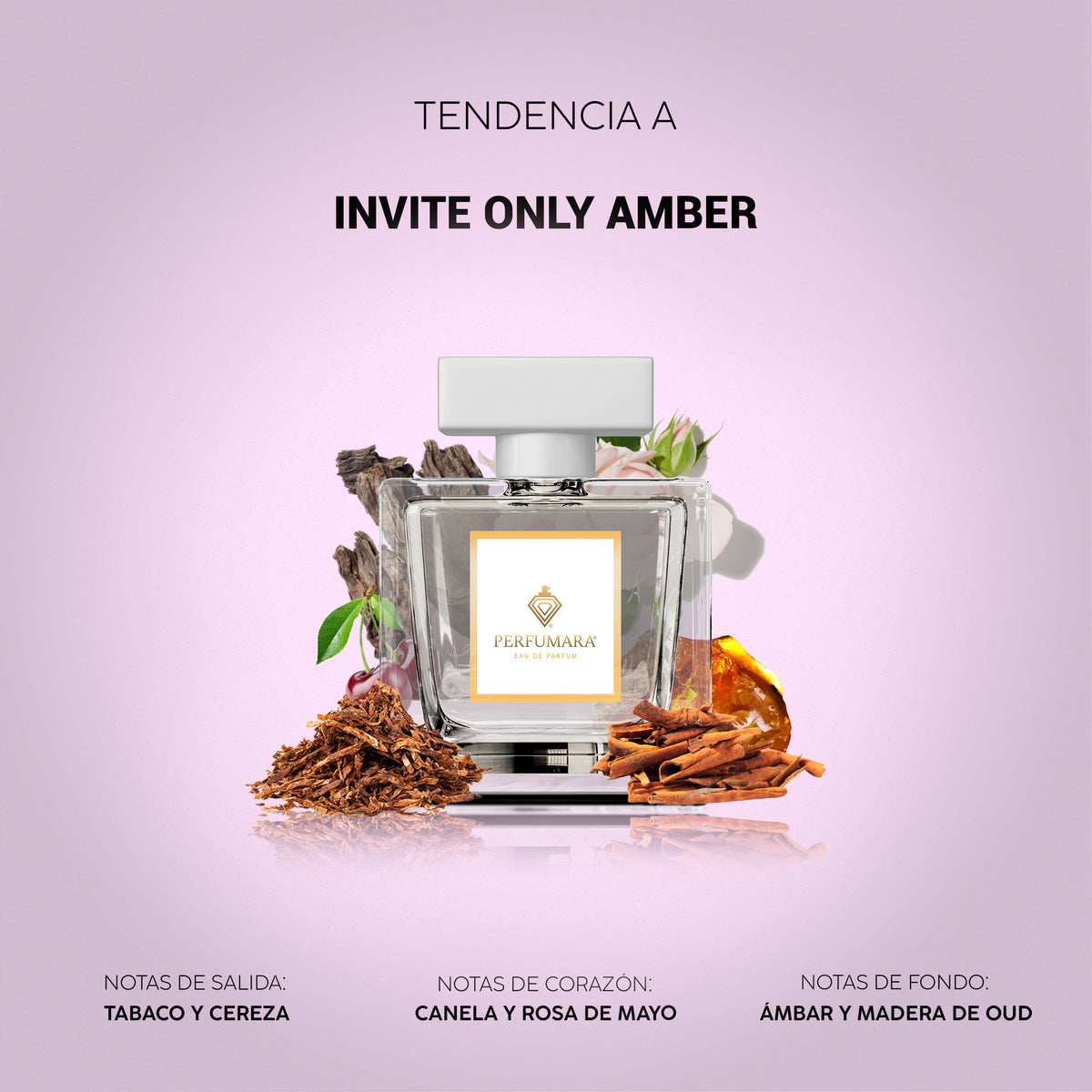 Tendencia a Invite Only Amber