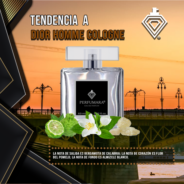 Tendencia  a CDior Homme Cologne