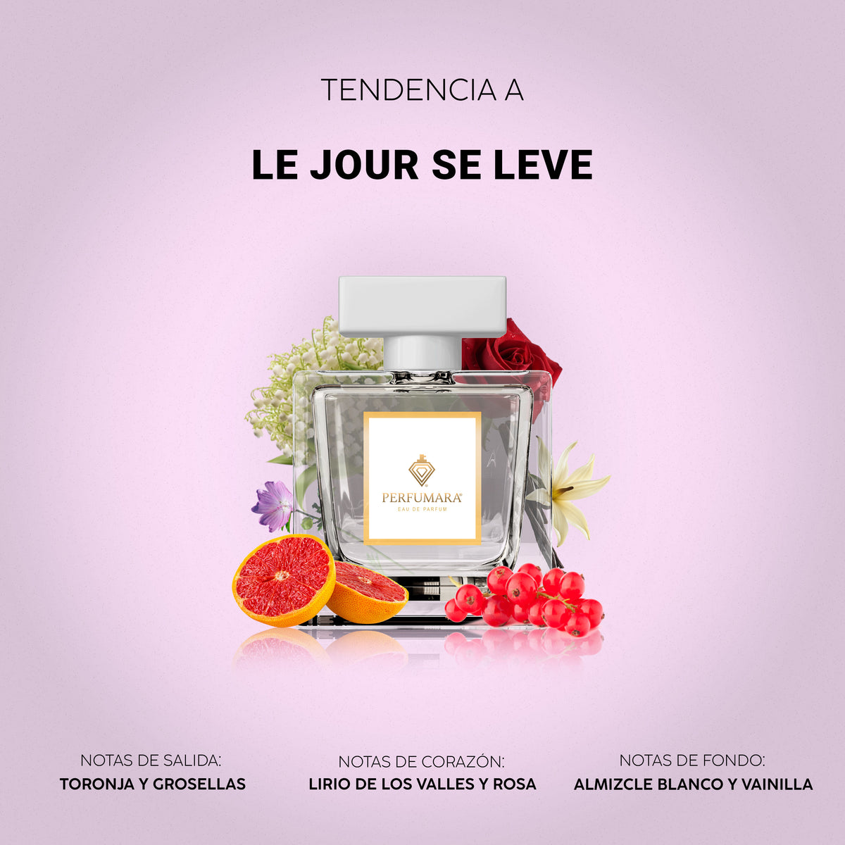 Tendencia a Le Jour Se Lève