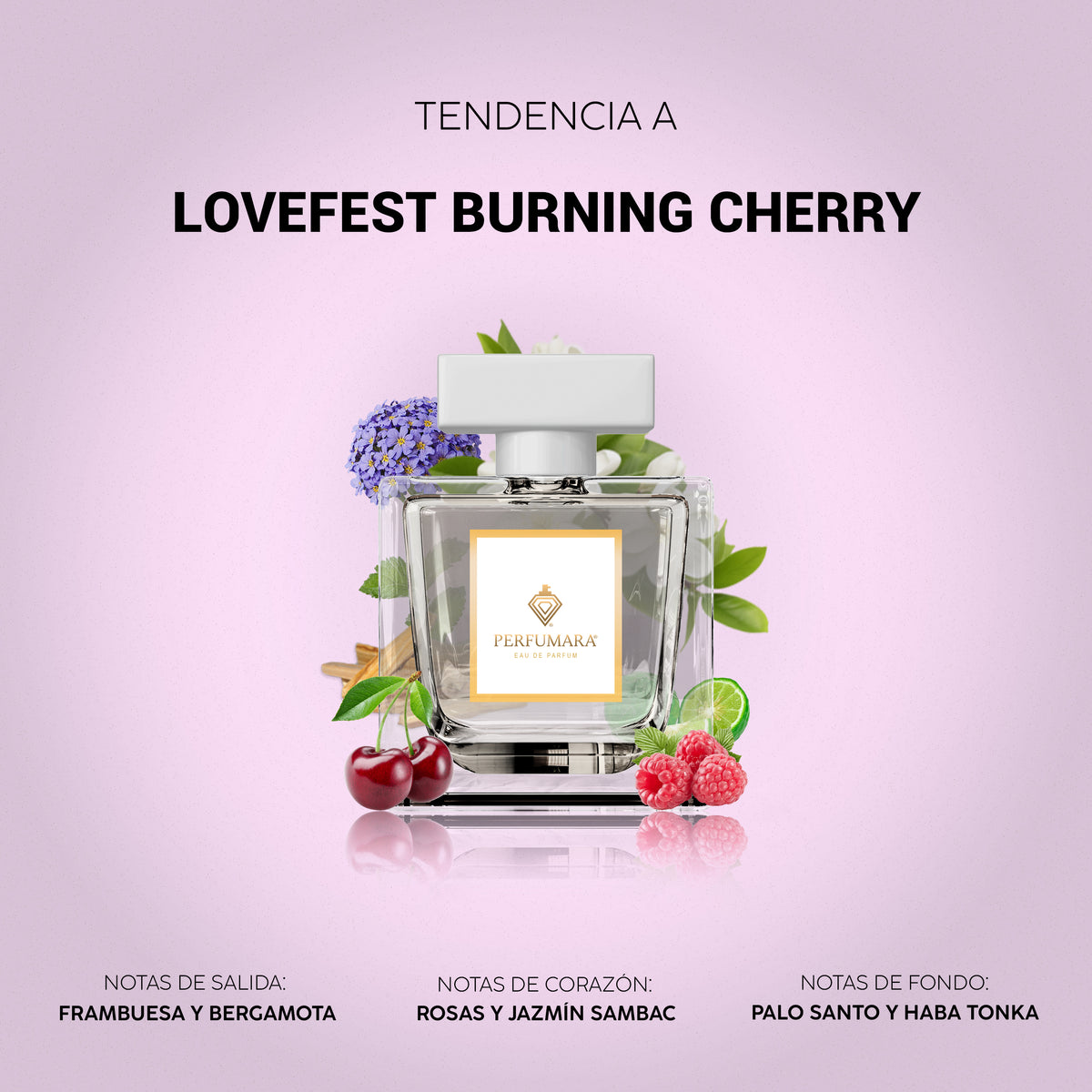 Tendencia a Love fest burning cherry