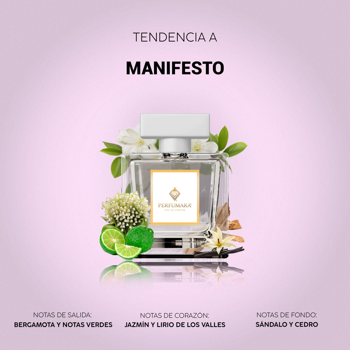 Tendencia a Manifesto