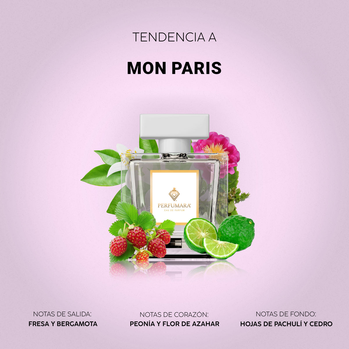 Tendencia a Mon Paris Yves