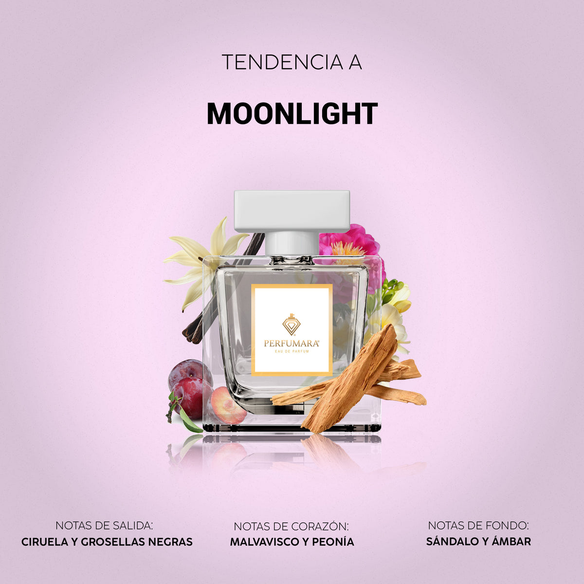 Tendencia a Moonlight