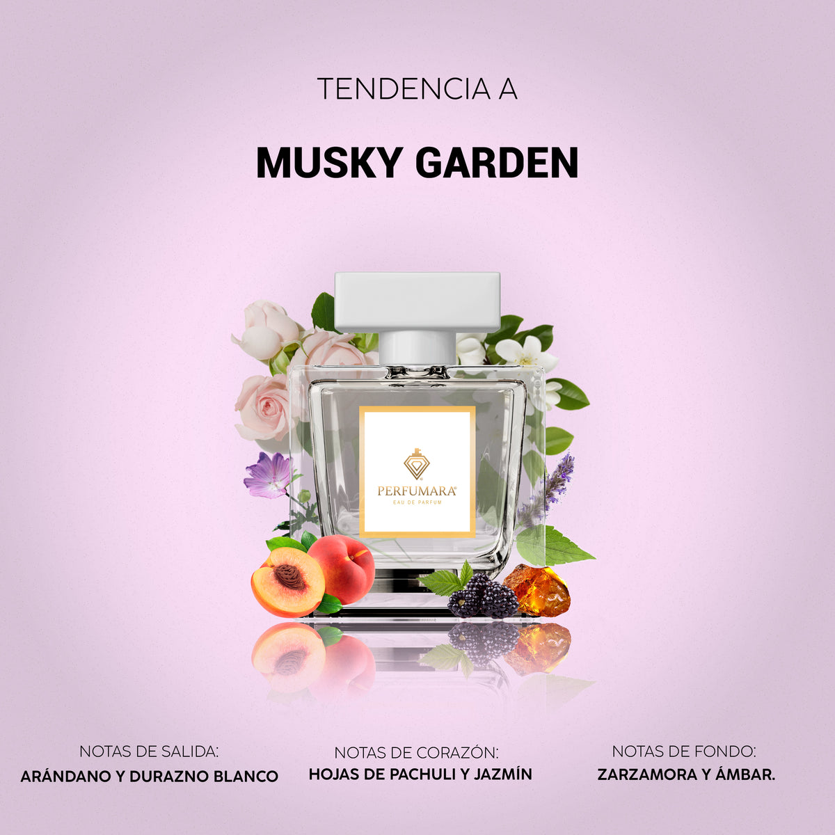 Tendencia a Musky Garden