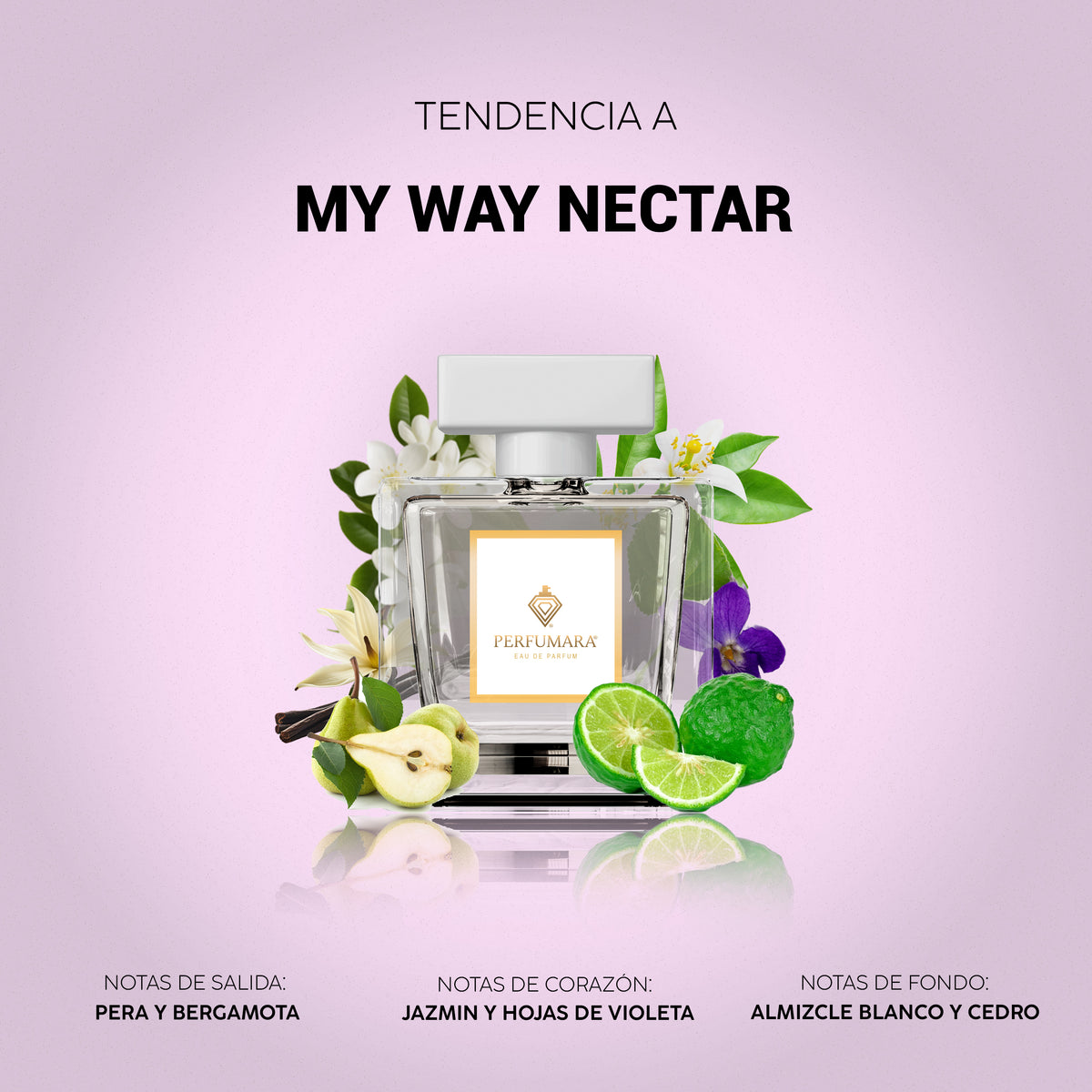 Tendencia a My Way Nectar
