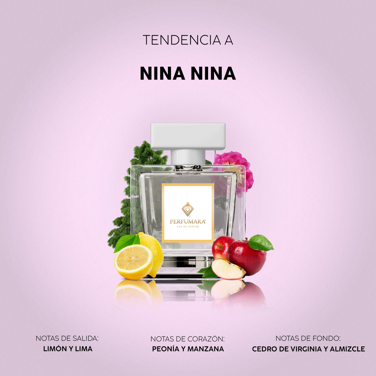 Tendencia a Nina Nina