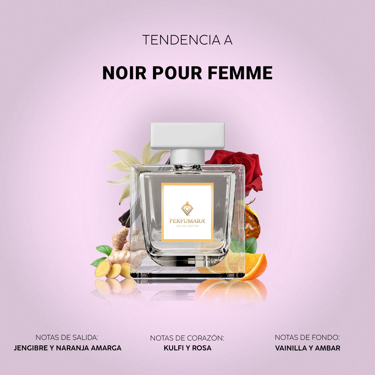 Tendencia a Noir Pour Femme