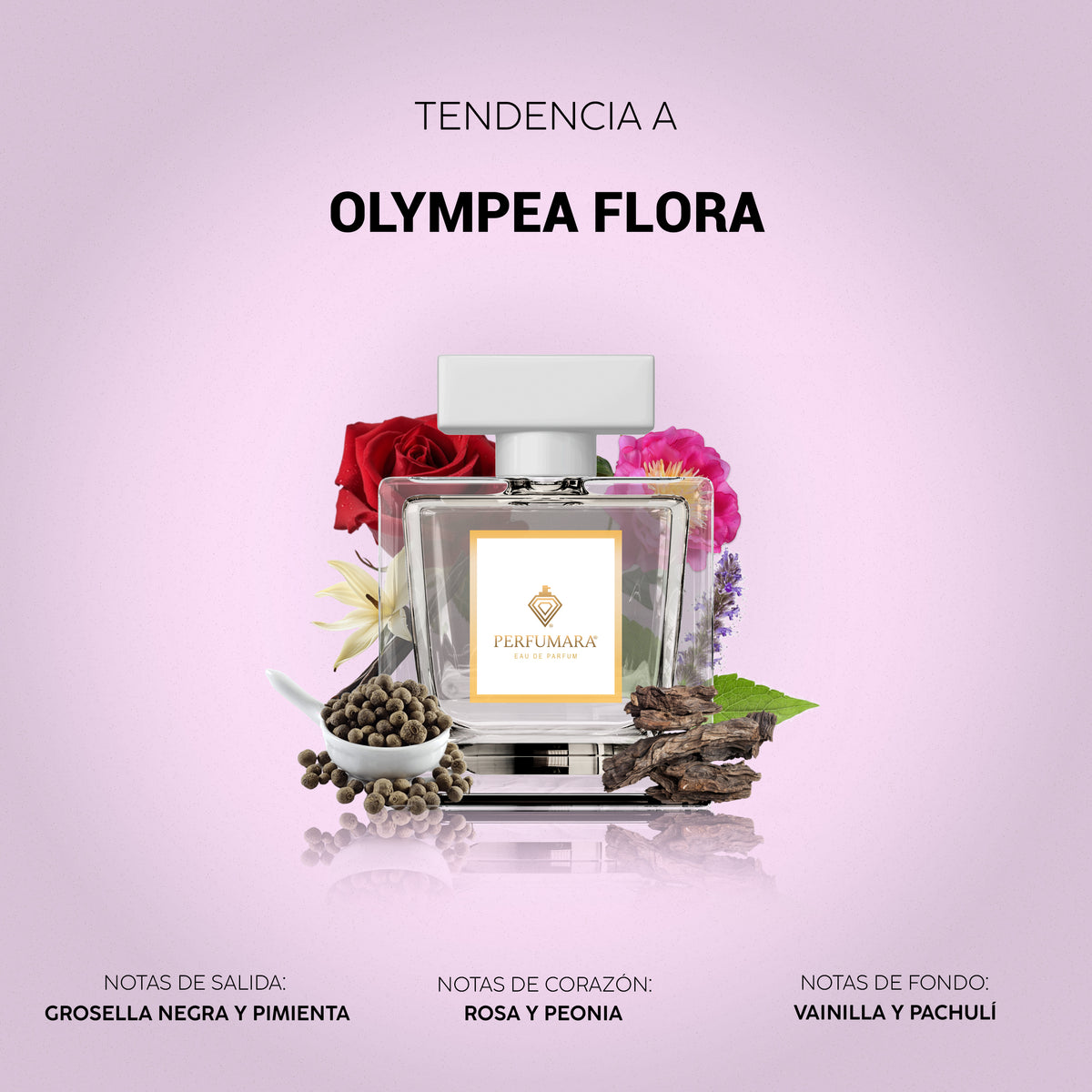 Tendencia a Olympéa Flora