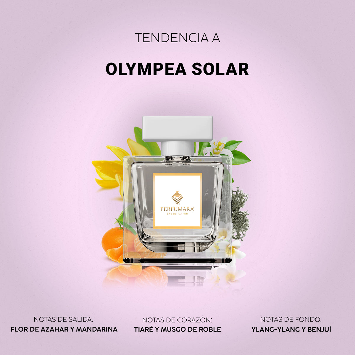 Tendencia a Olympéa Solar