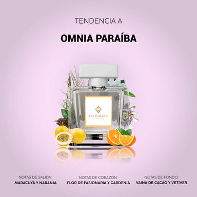 Tendencia a Omnia Paraiba