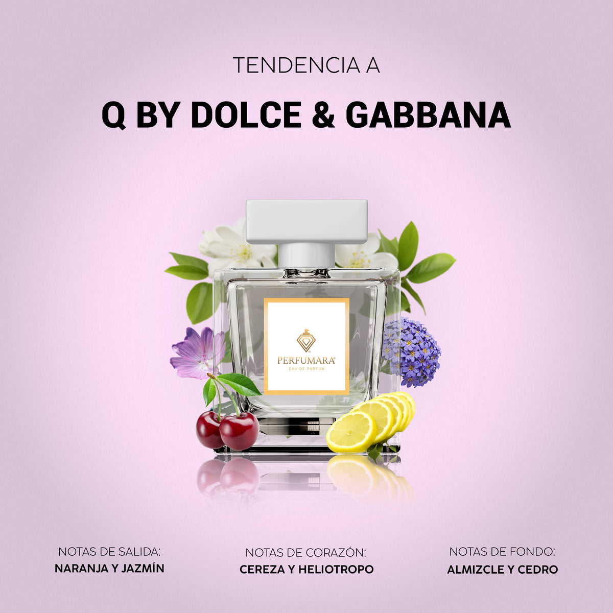 Tendencia a Q