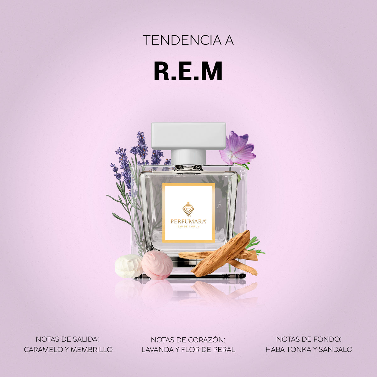 Tendencia a R.E.M