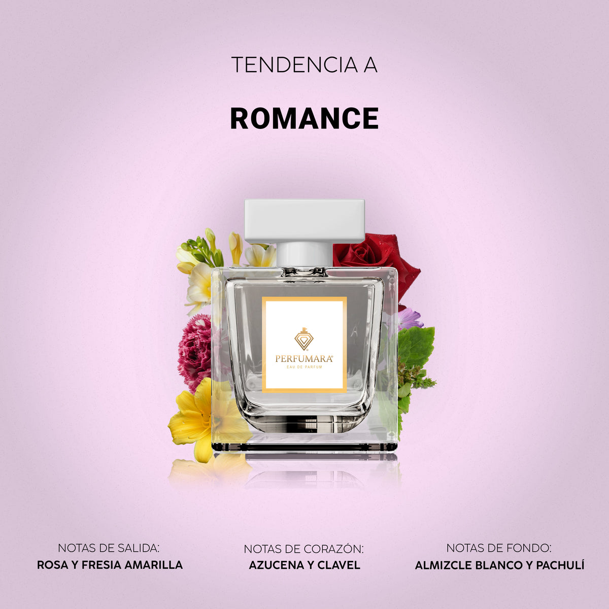 Tendencia a Romance