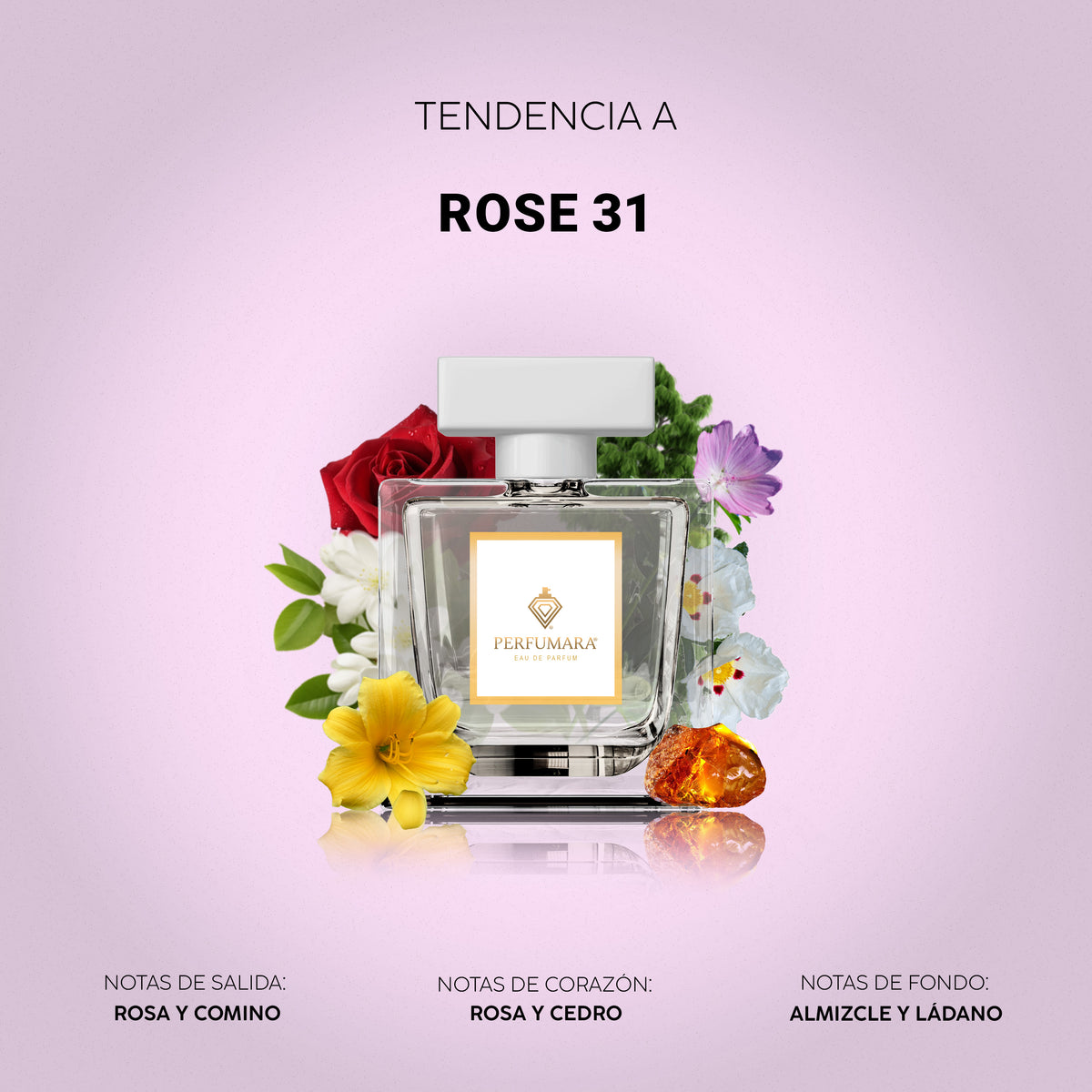Tendencia a Rose 31