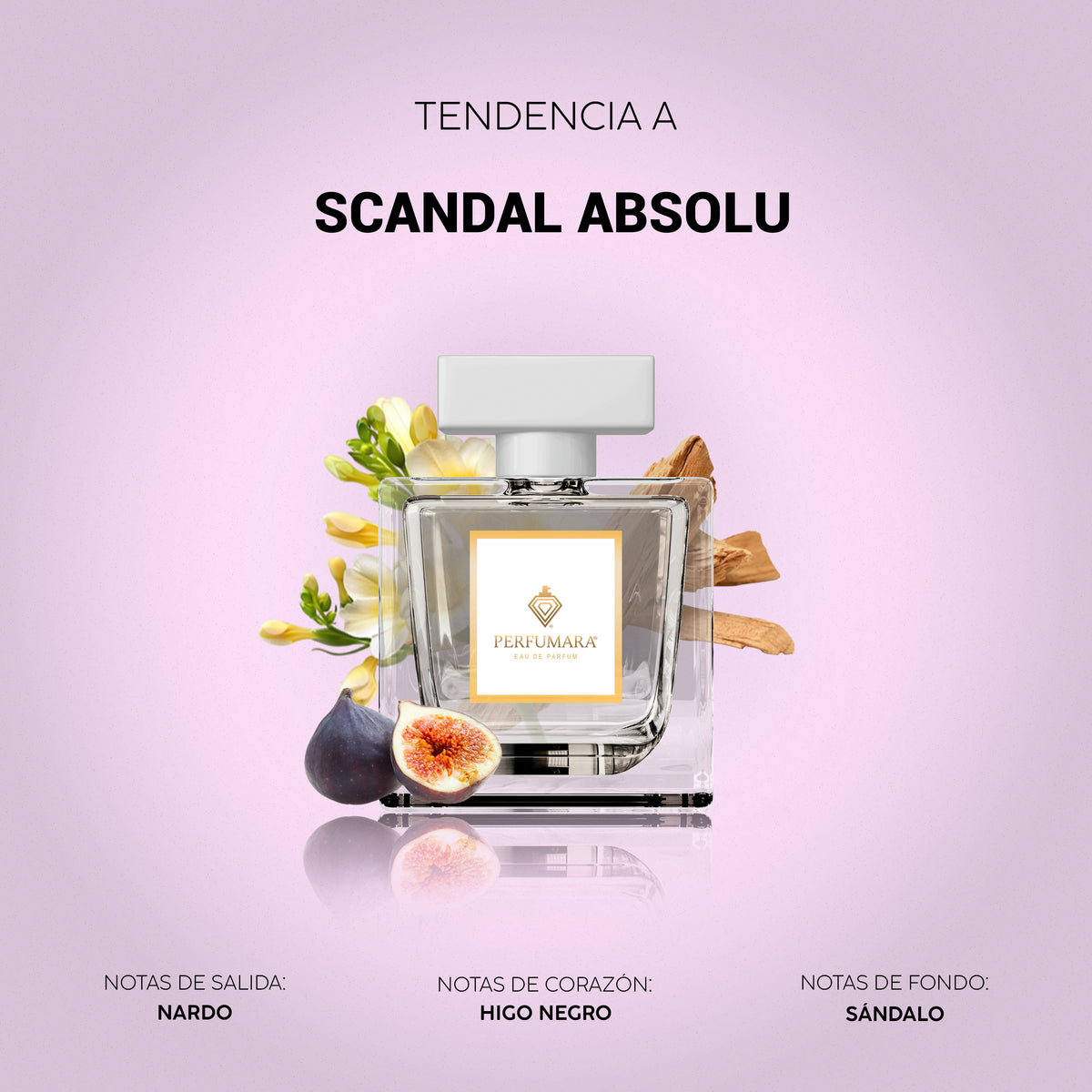 Tendencia a Scandal Absolu