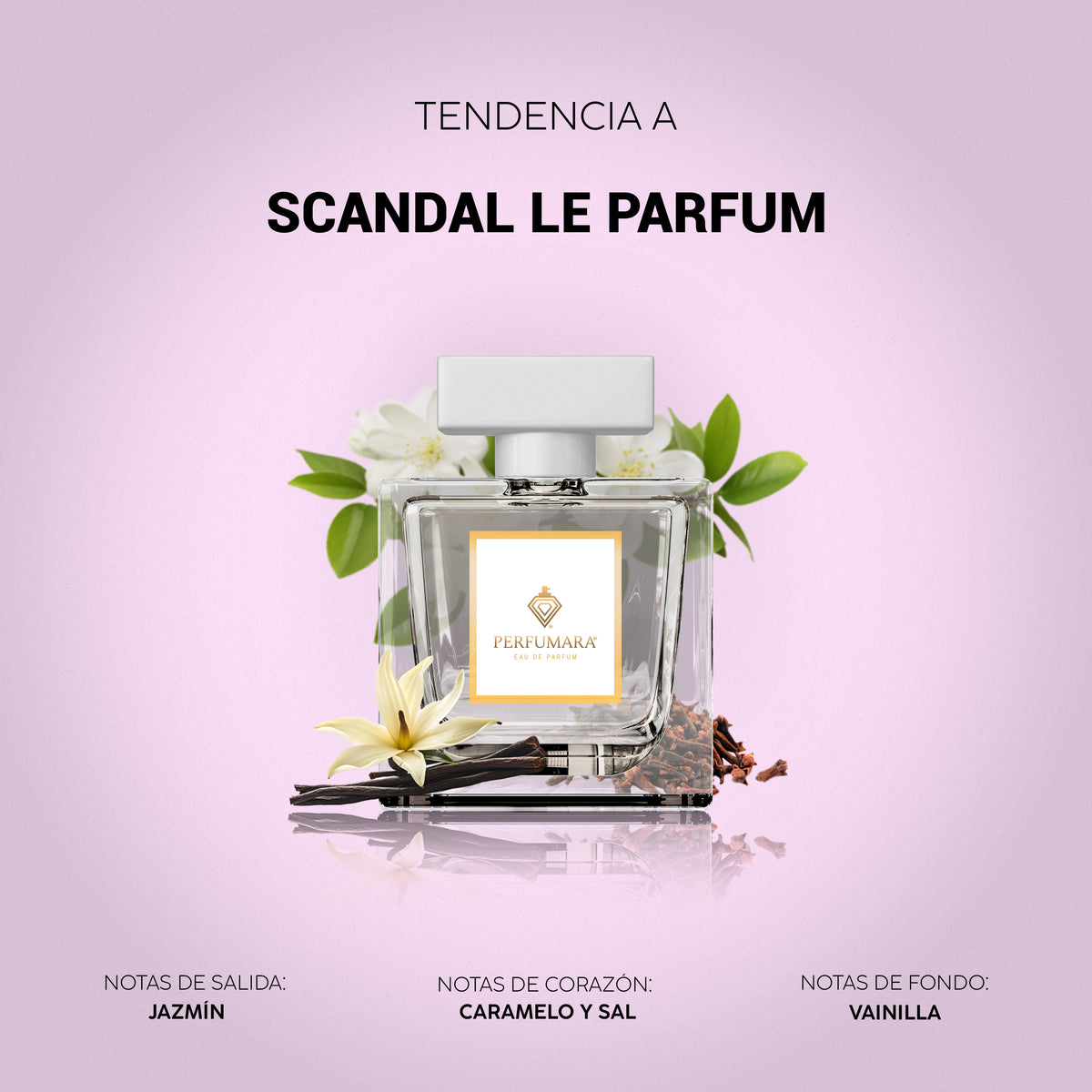 Tendencia a Scandal Le Parfum