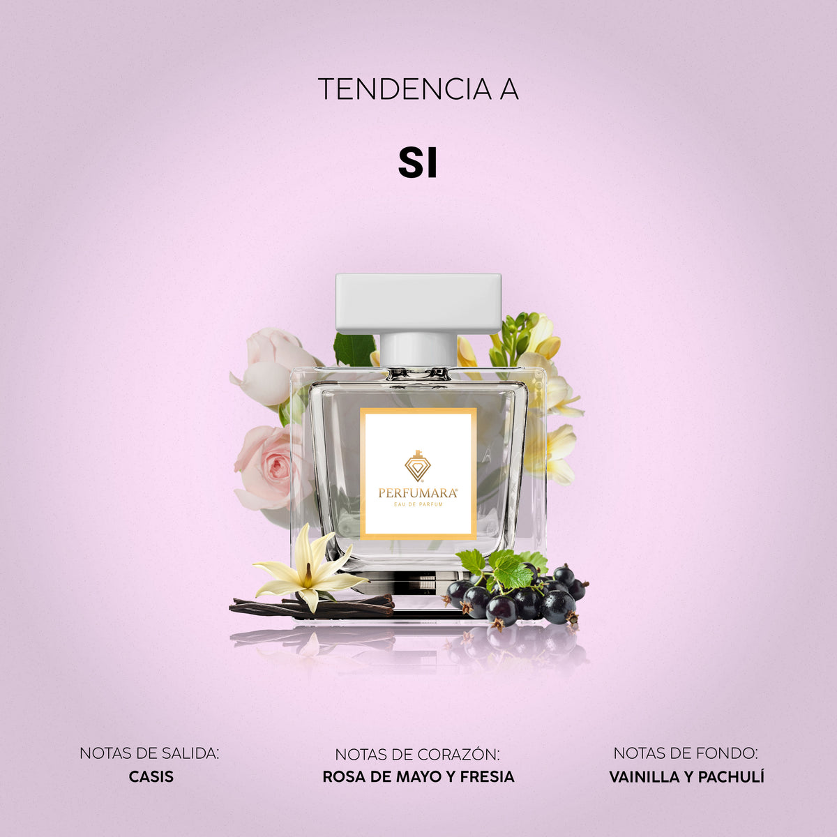 Tendencia a Si