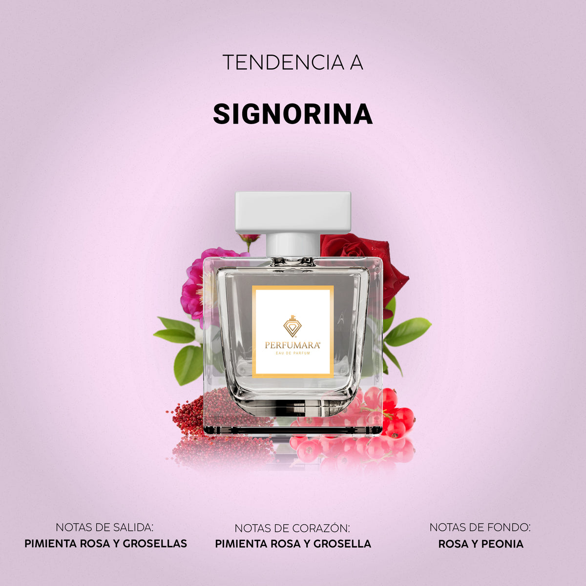 Tendencia a Signorina