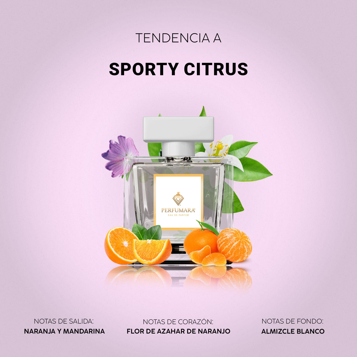 Tendencia a Sporty Citrus