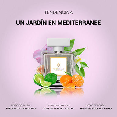 Tendencia a Un Jardin En Mediterranee