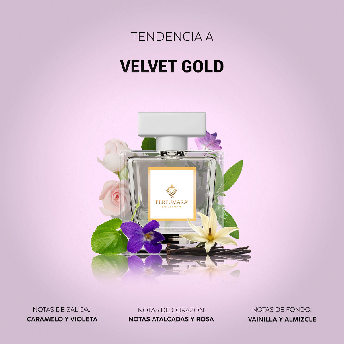Tendencia a Velvet Gold