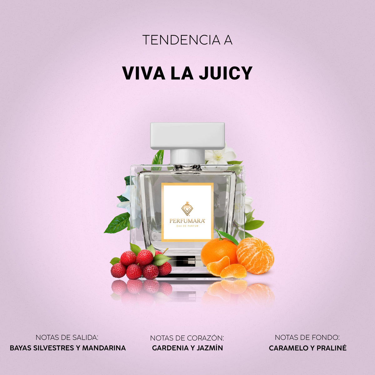 Tendencia a Viva la Juicy