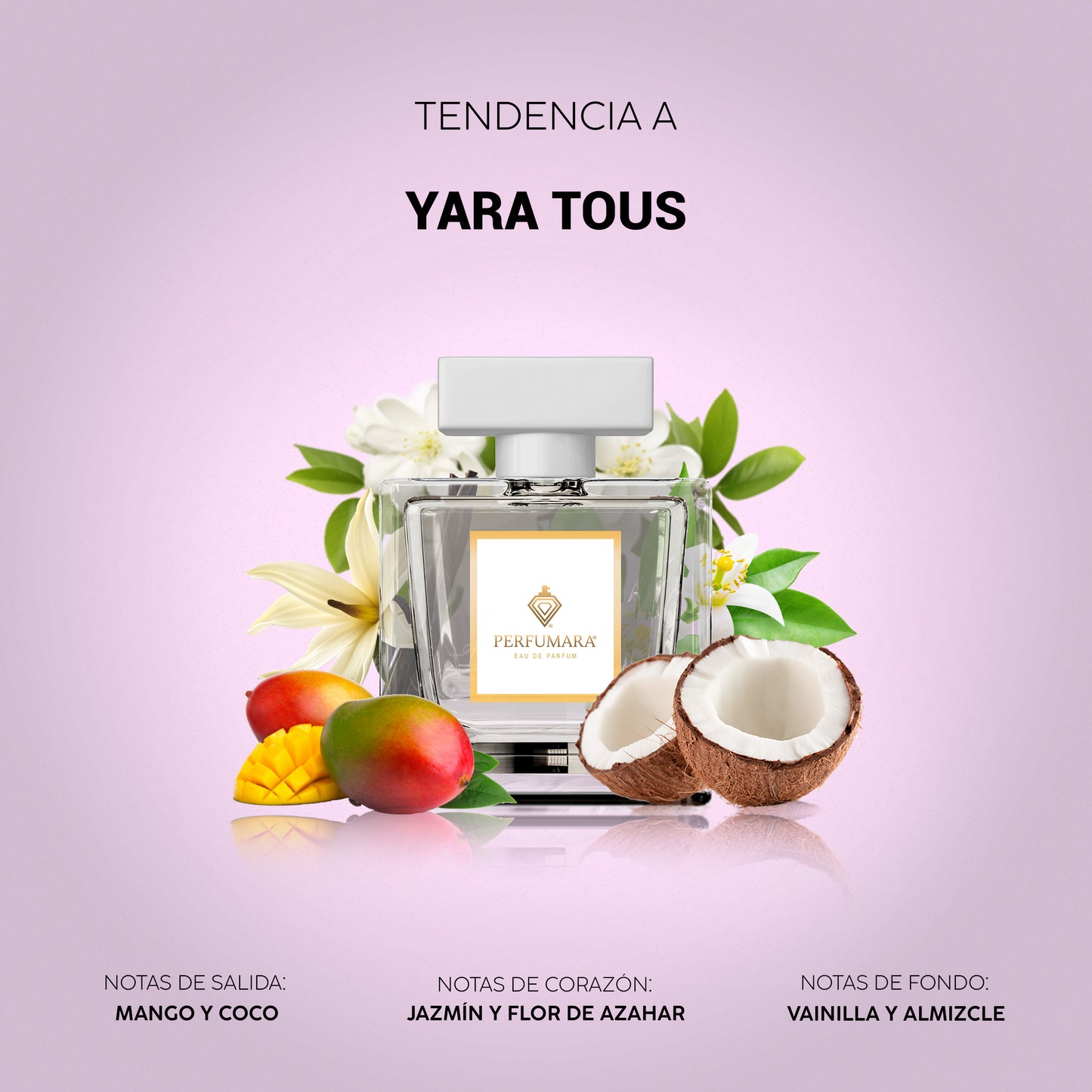 Tendencia a DYara Tous