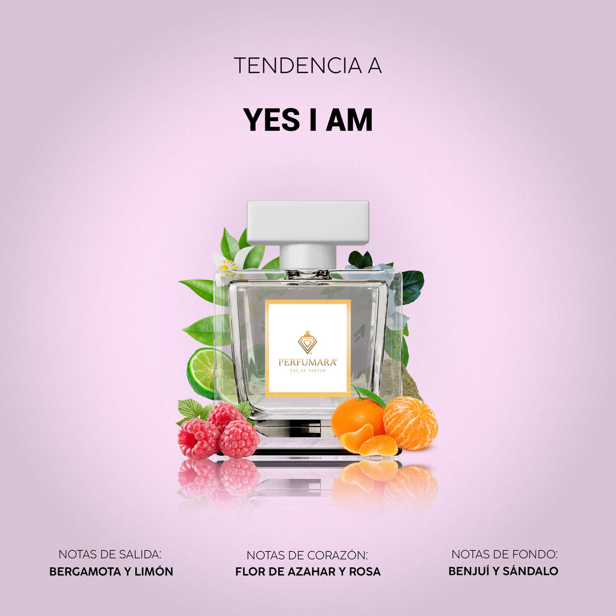 Tendencia a Yes I Am