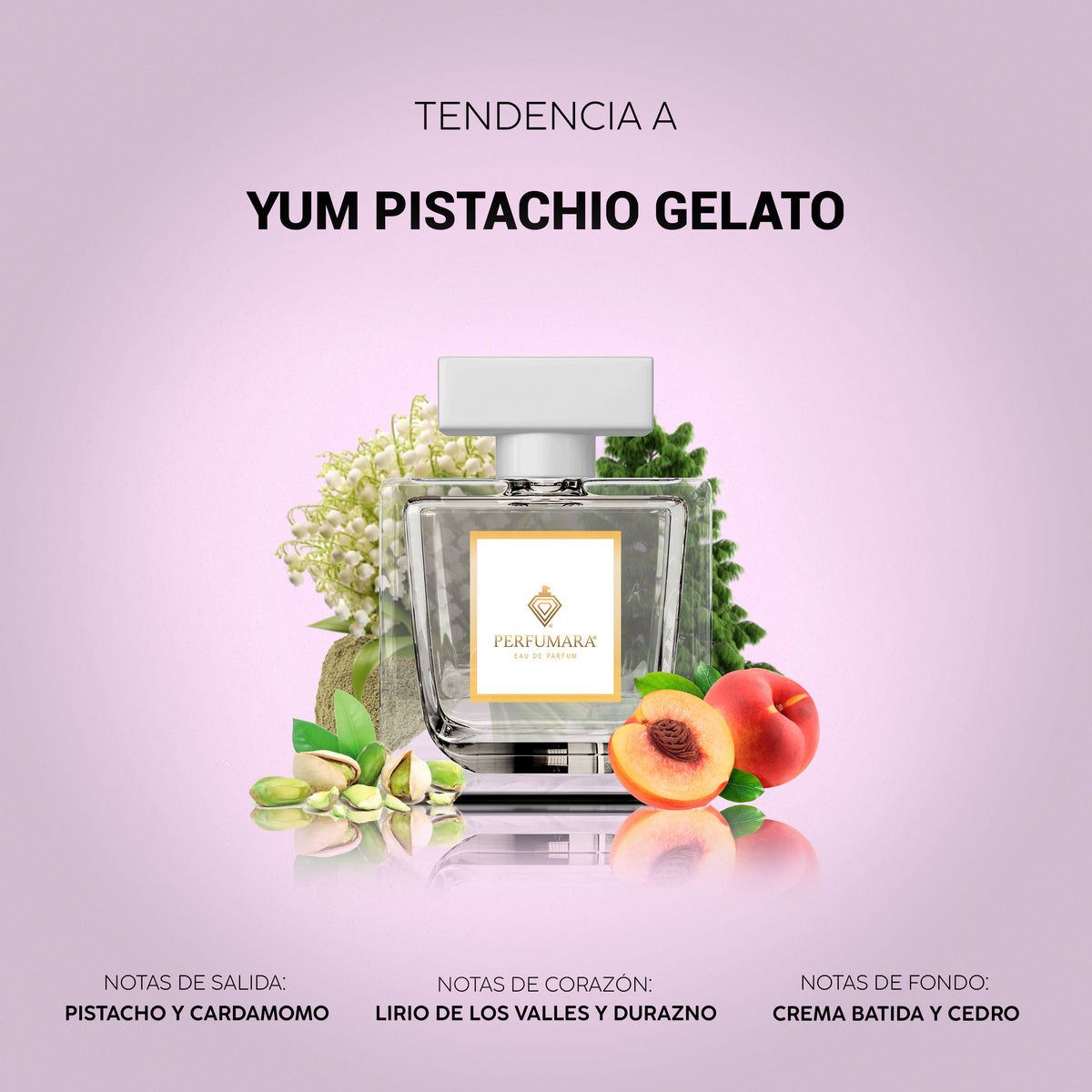Tendencia a Yum Pistachio Gelato | 33