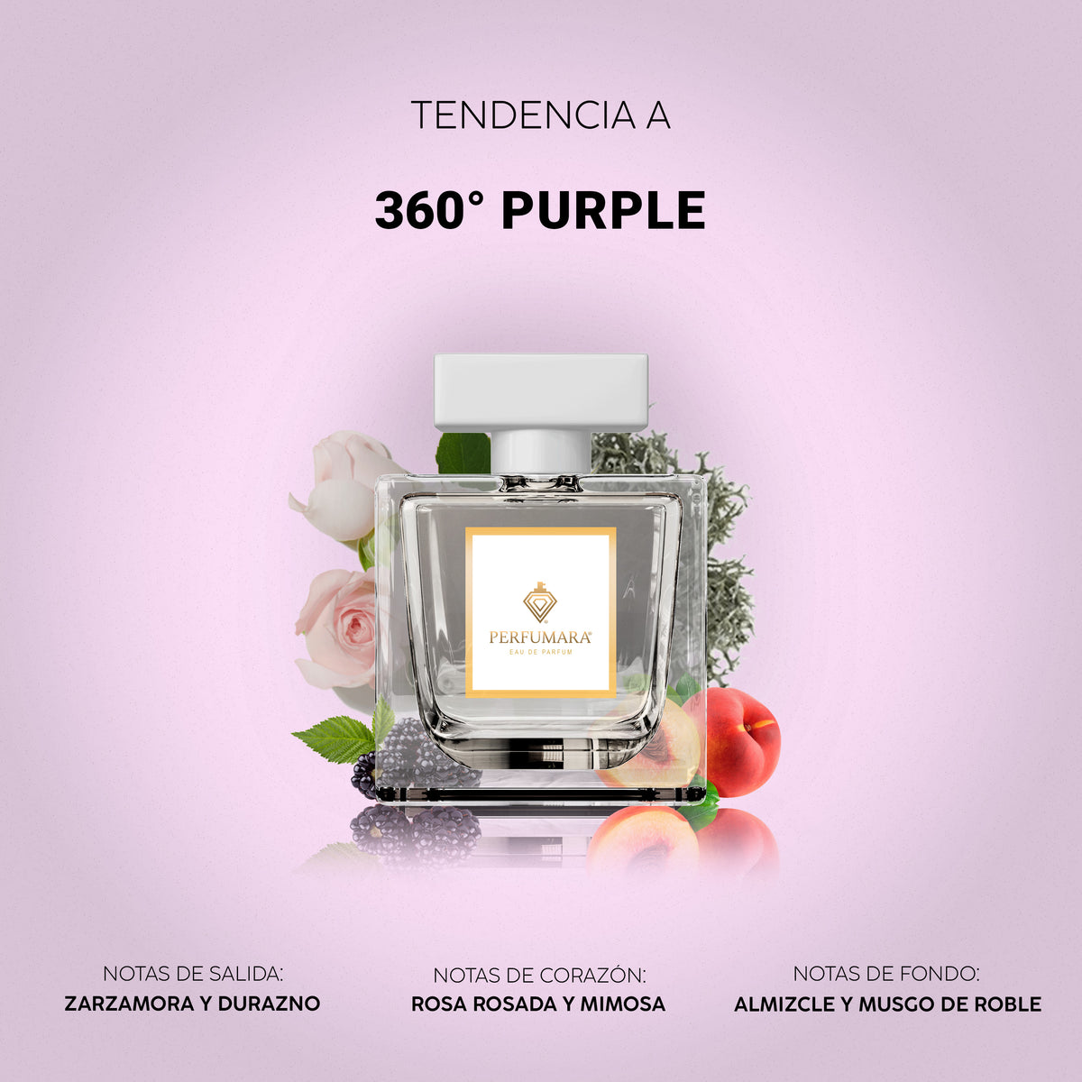 Tendencia a 360° Purple