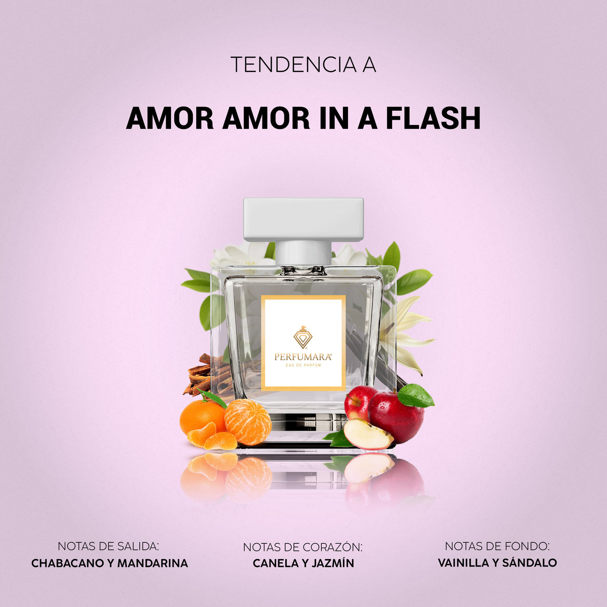 Tendencia a Amor Amor In a Flash
