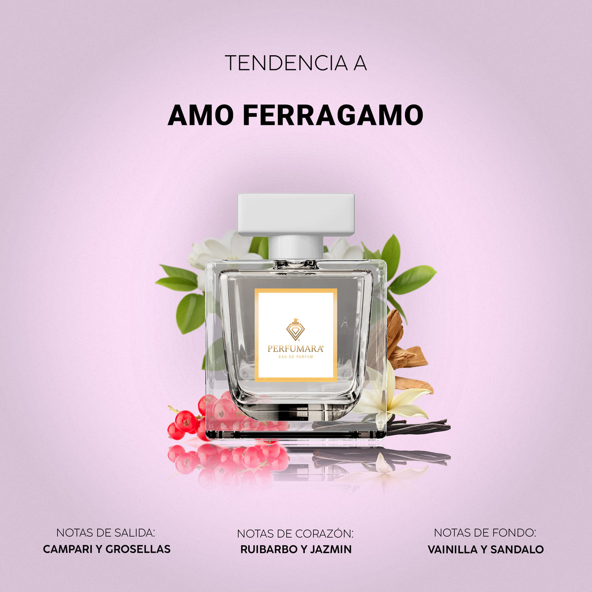 Tendencia a Amo Ferragamo