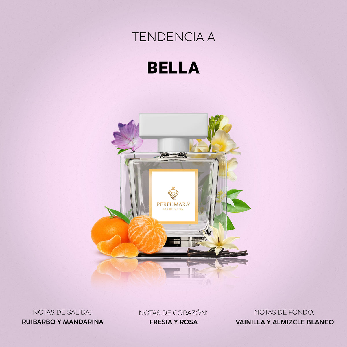 Tendencia a Bella