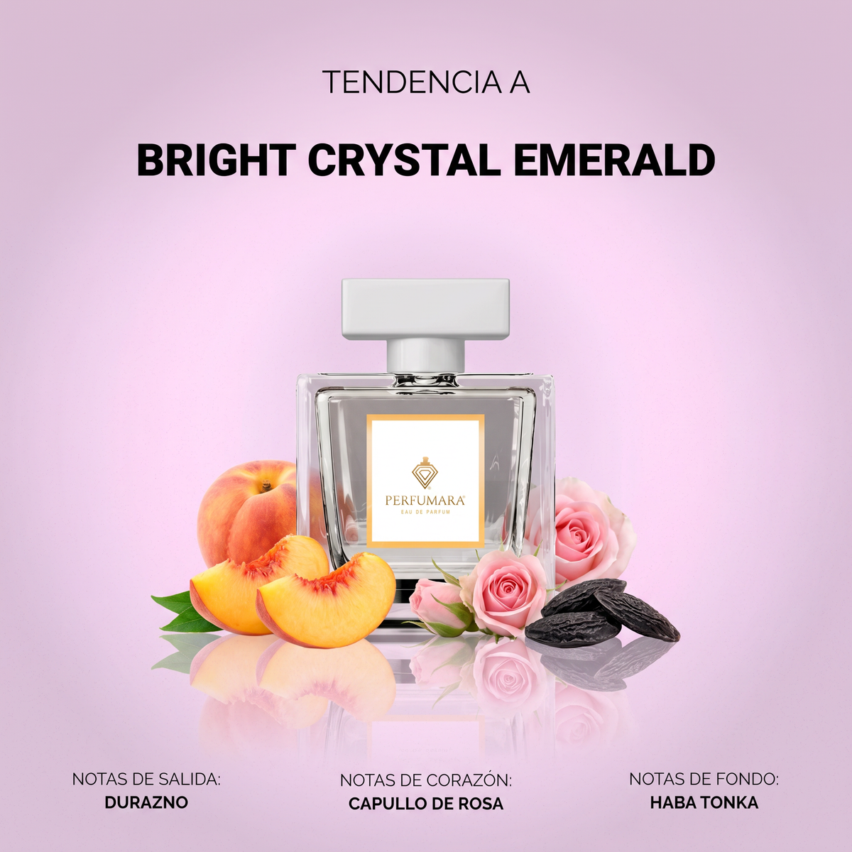 Tendencia a Bright Crystal Emerald