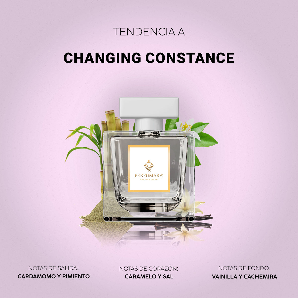 Tendencia a Changing Constance