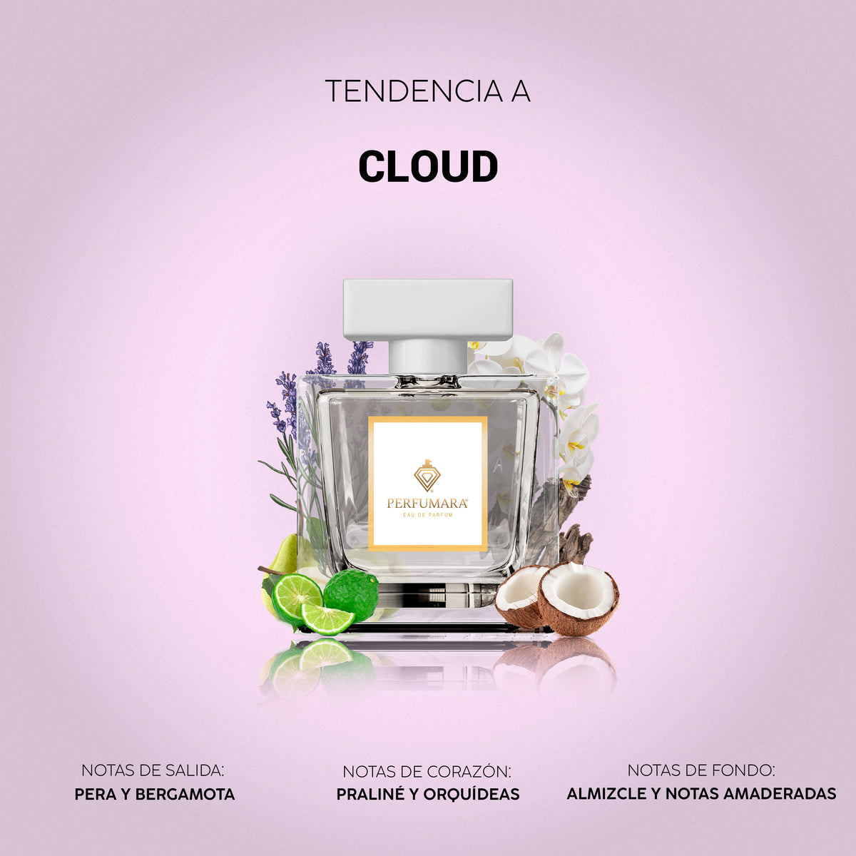 Tendencia a Cloud
