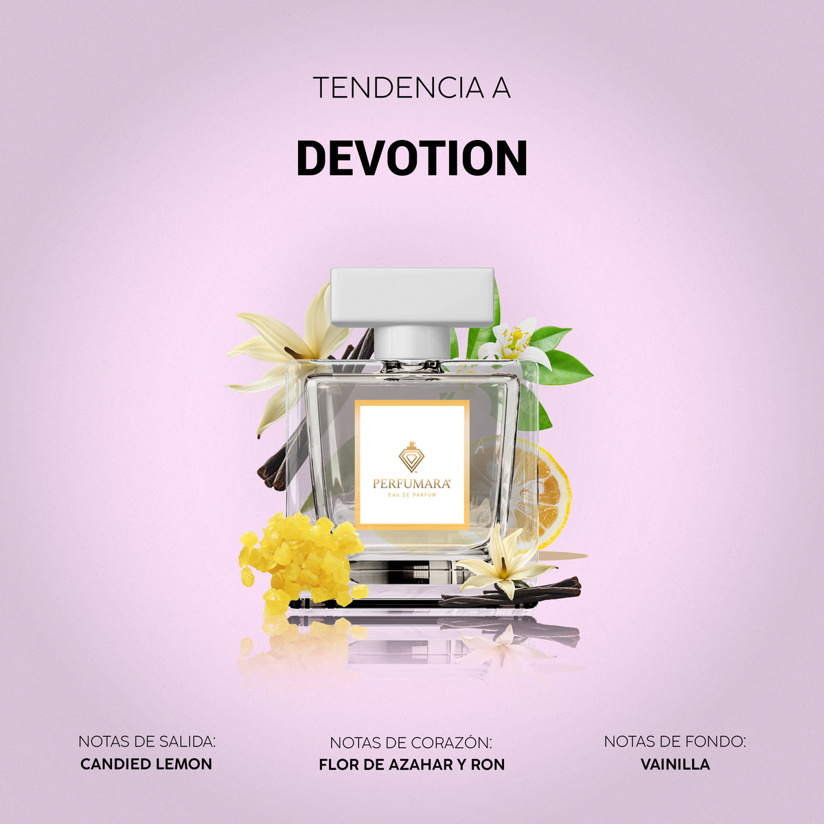 Tendencia a Devotion