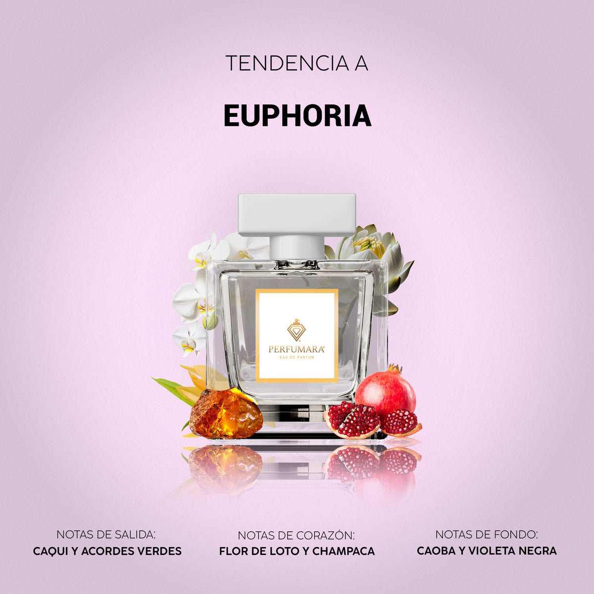 Tendencia a Euphoria