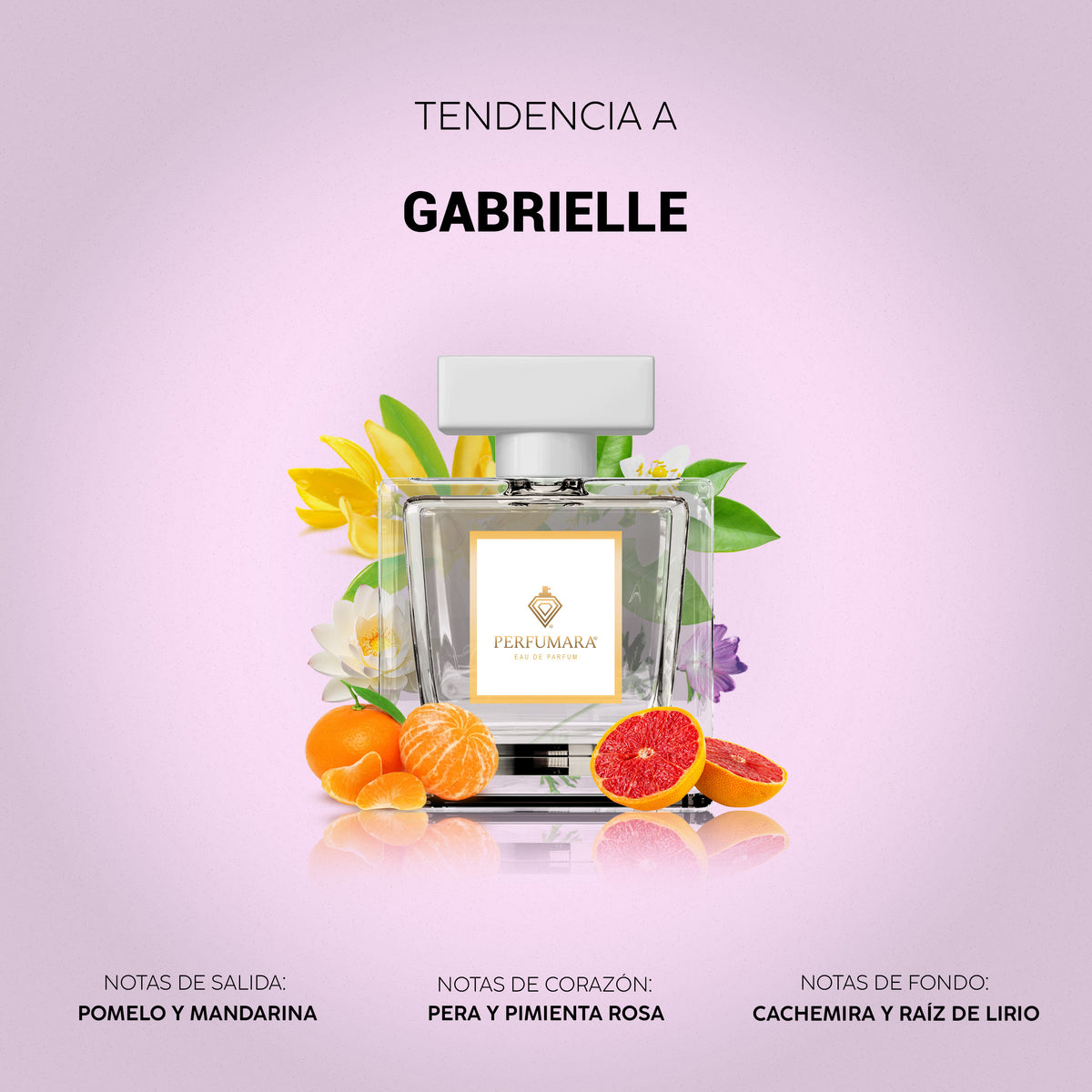 Tendencia a Gabrielle