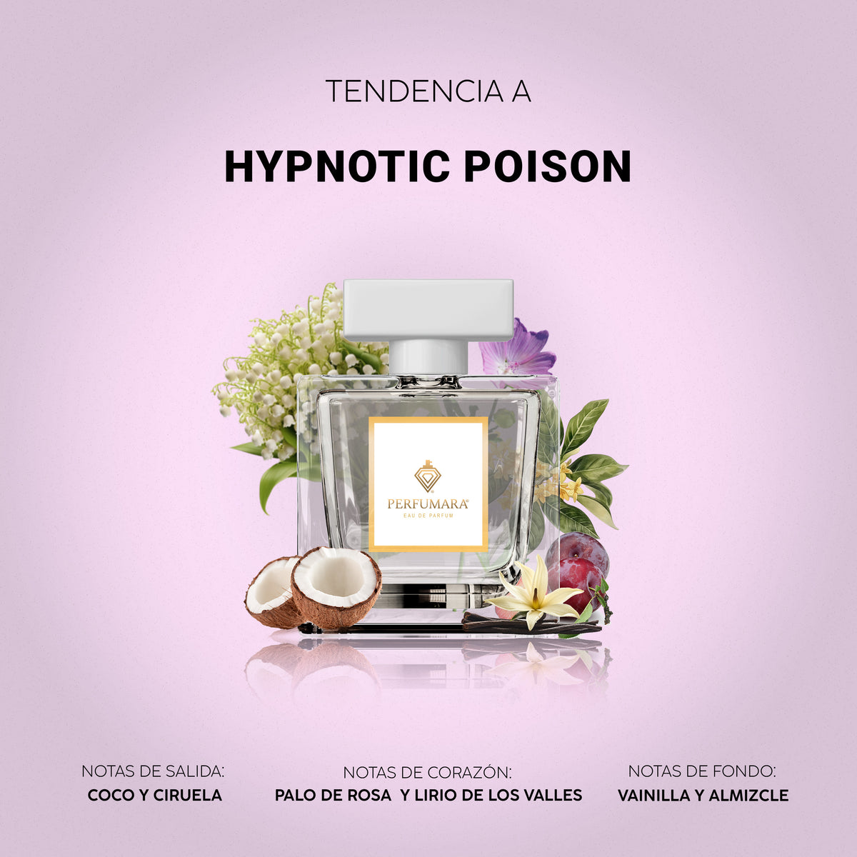 Tendencia a Hypnotic Poison
