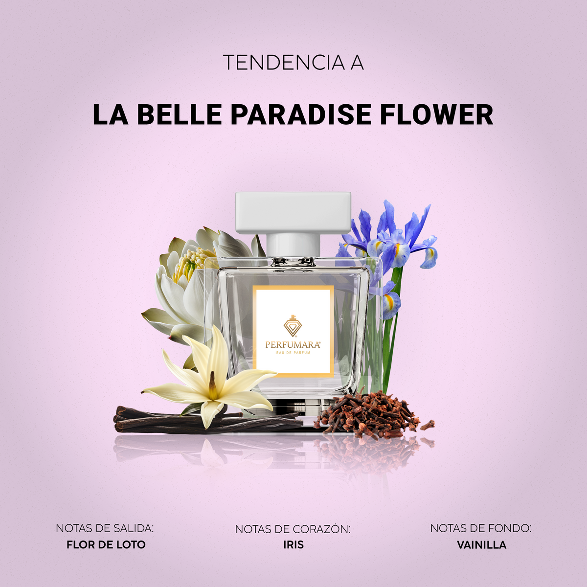Tendencia a La Belle Paradise Garden