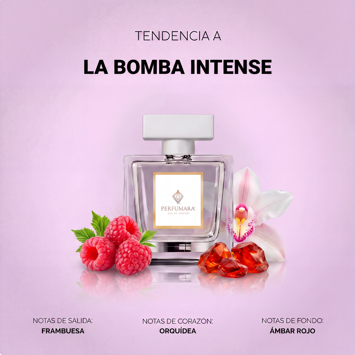 Tendencia a La Bomba Intense