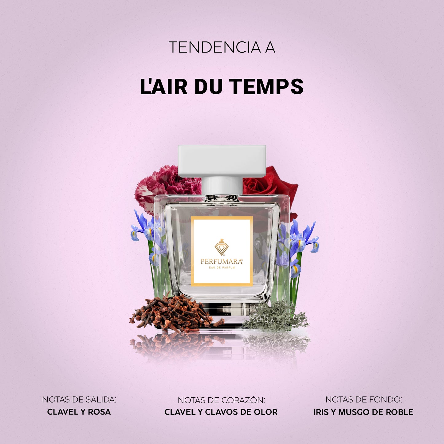 Tendencia a DAIRES DEL TIEMPO